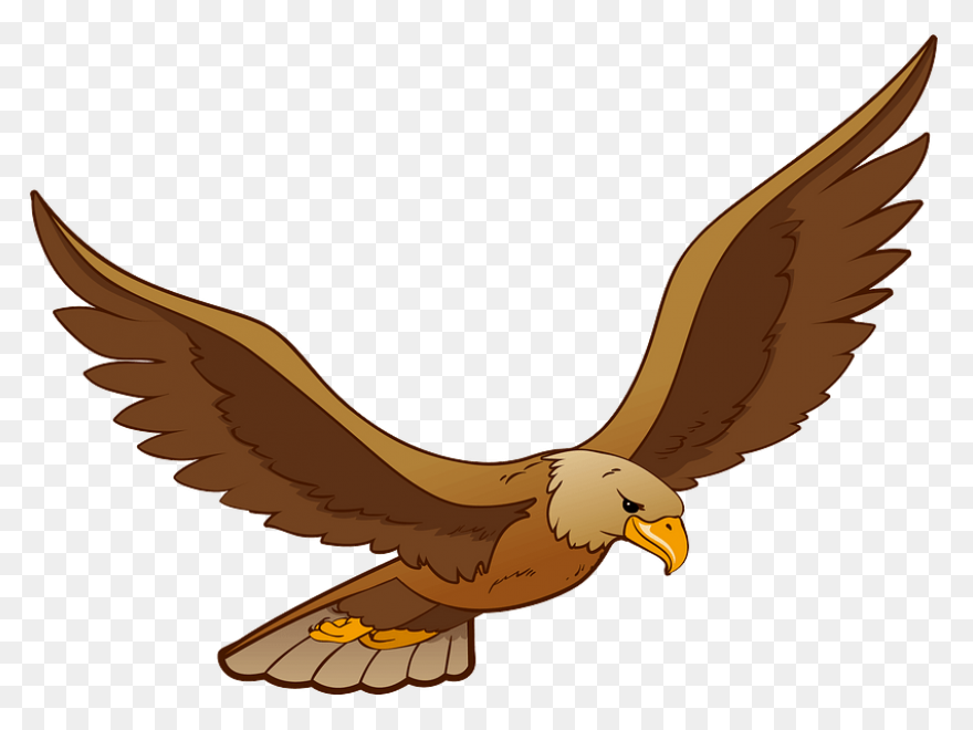 Bald Eagle Clipart. Free Download T