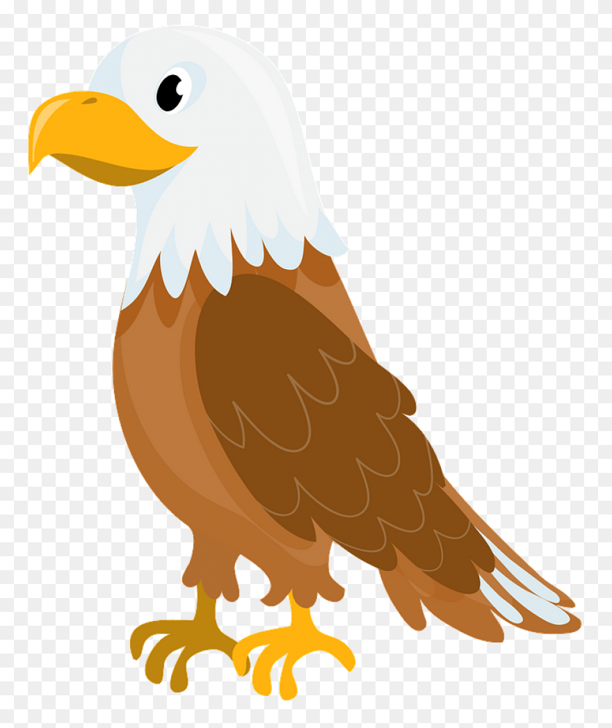 Bald Eagle Clipart. Free Download - Aguila