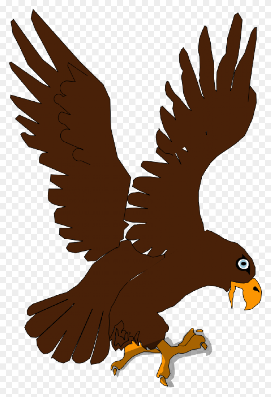 Bald Eagle Clipart. Free Download T