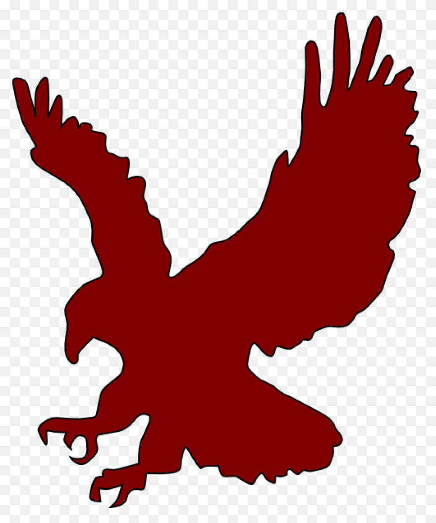 Bald Eagle Clipart. Free Download T