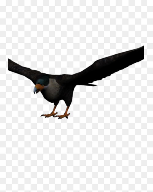 Bald Eagle Clipart. Free Download T