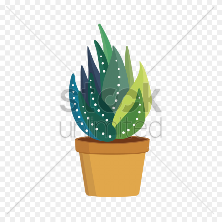 Aloe Vera Vector Image 1279796 - Aloe Vera