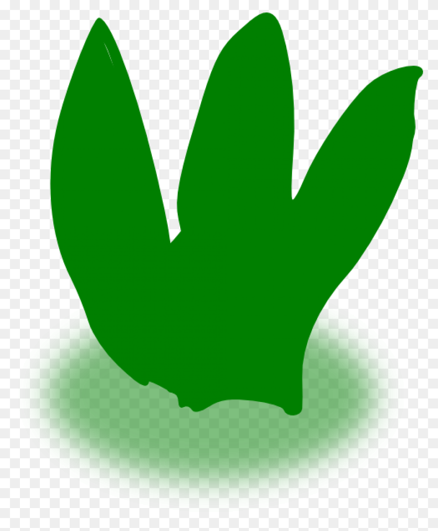 Aloe Vera Clipart At .com - Aloe Vera