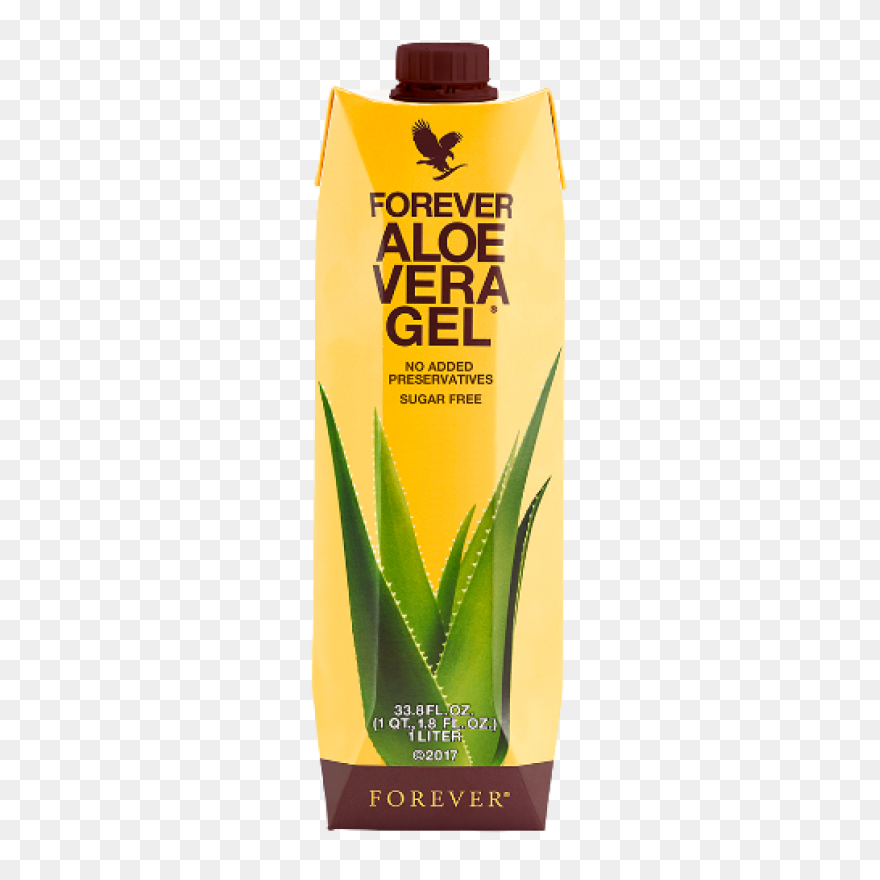 Aloe Vera Plant