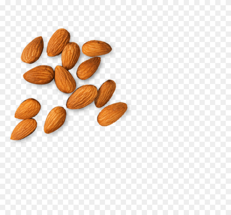 Bruce And Clark Almond Cream Flavou