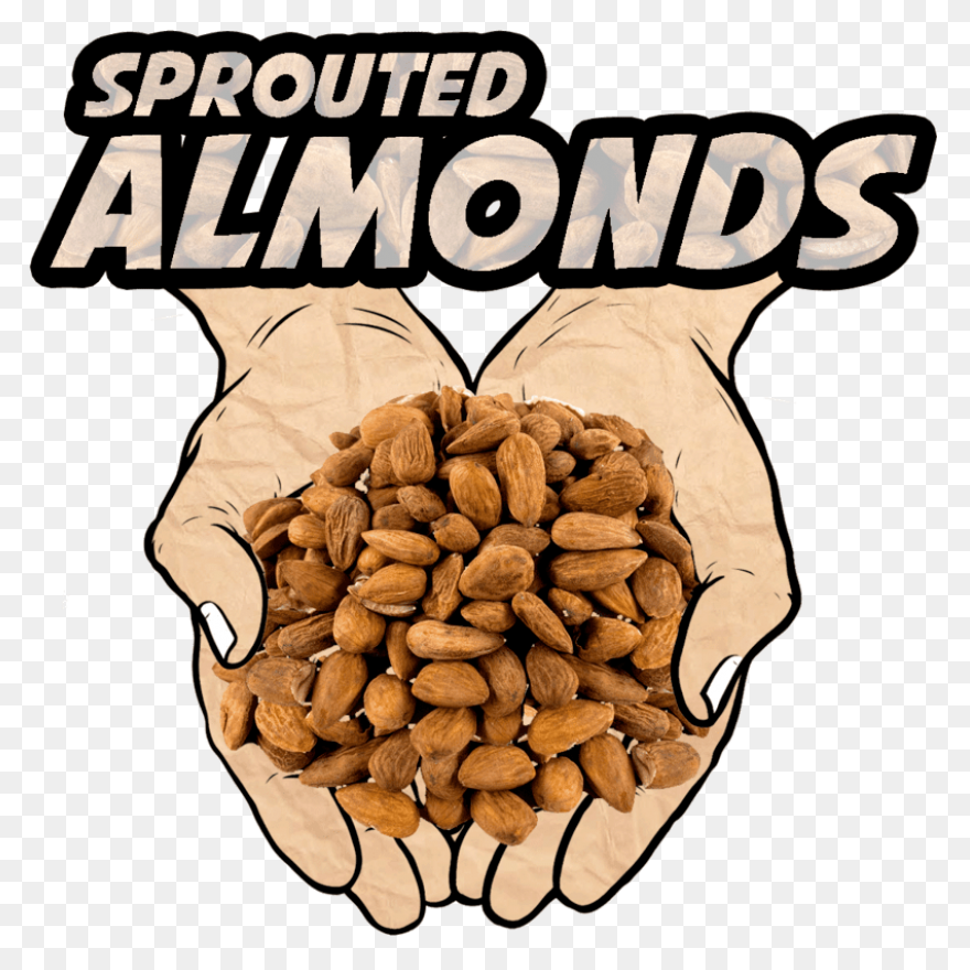 Bruce And Clark Almond Cream Flavou