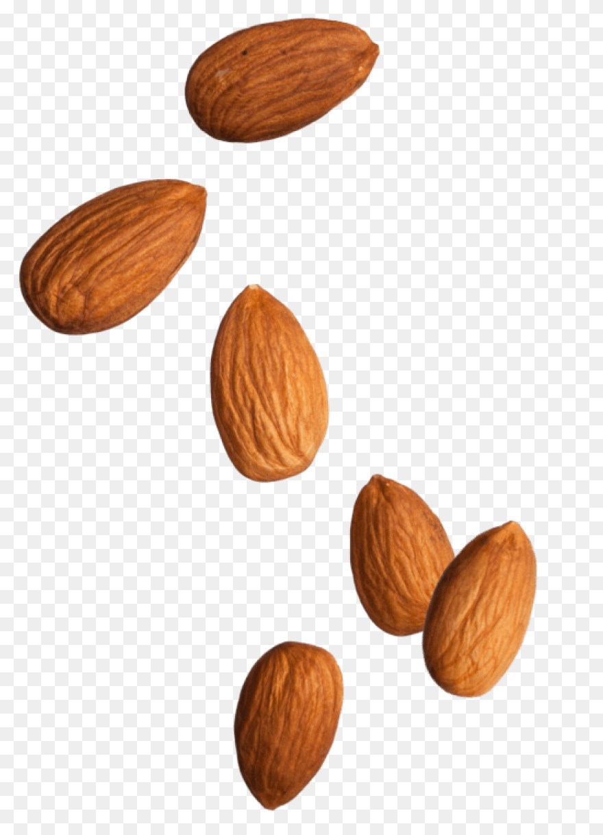 Bruce And Clark Almond Cream Flavou
