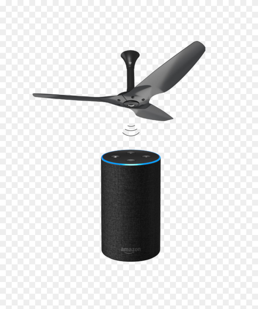 Language Support In Voice Assistant