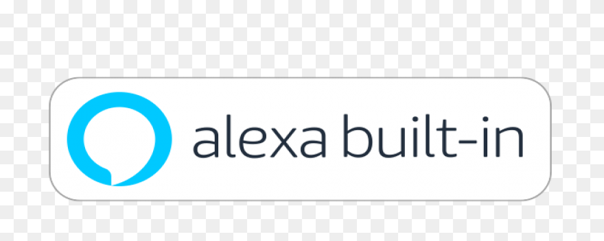 Language Support In Voice Assistant
