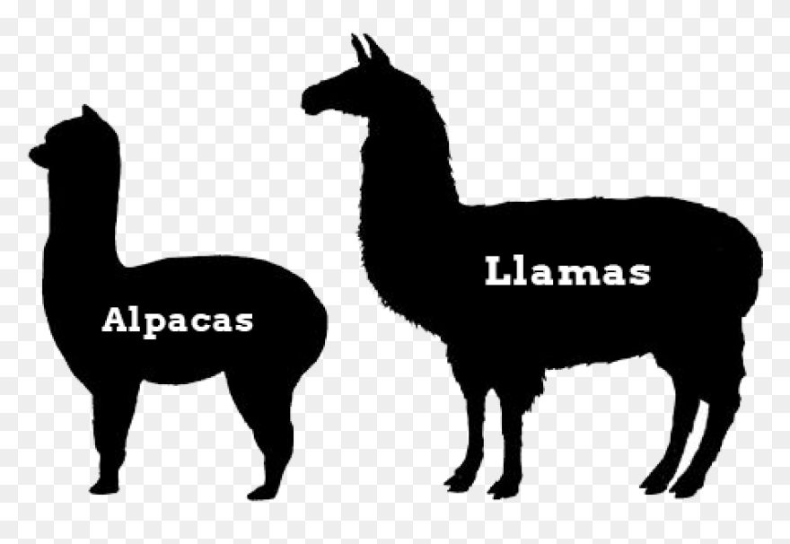 Alpaca - Free Animals Icons