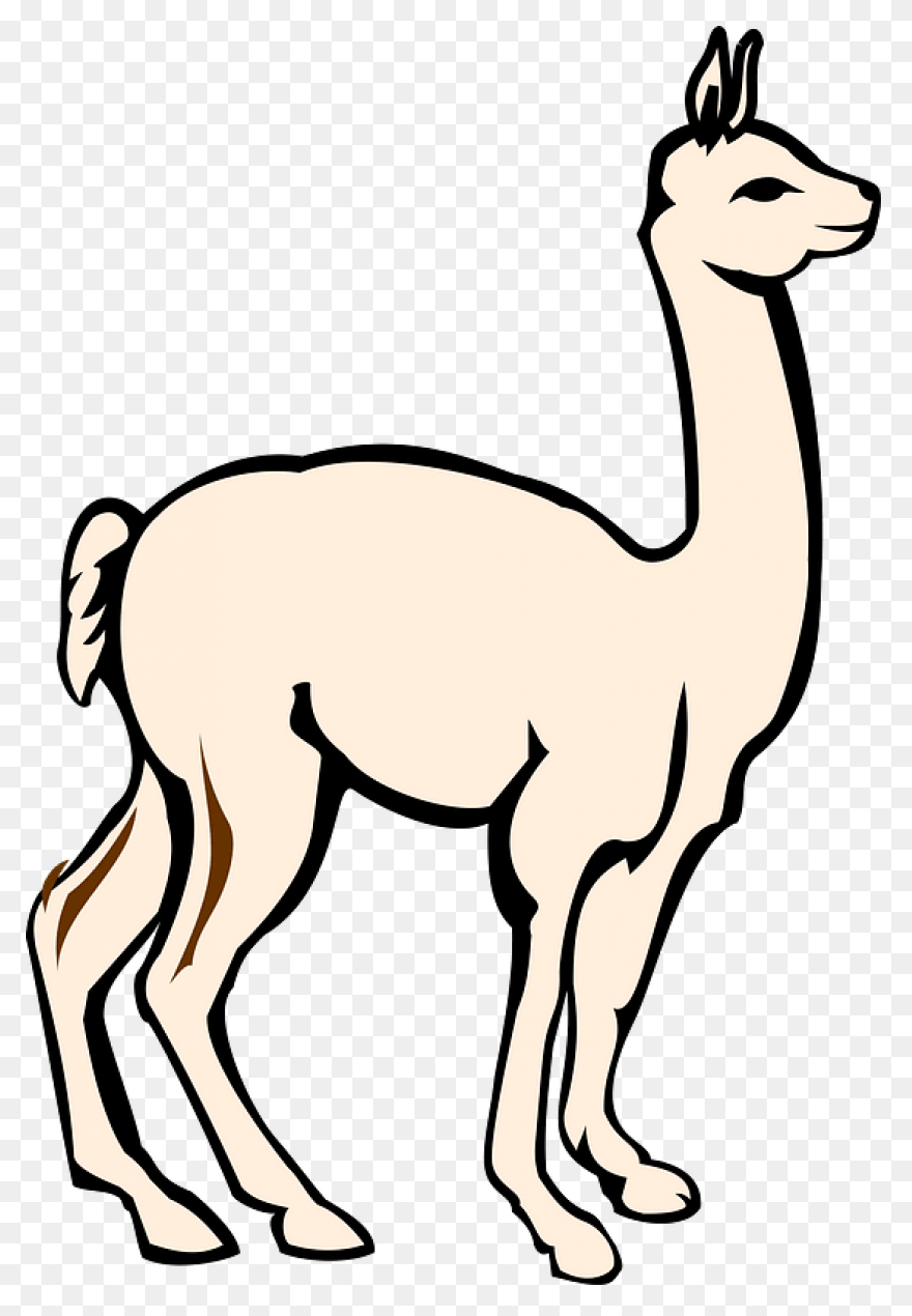 Alpaca - Free Animals Icons
