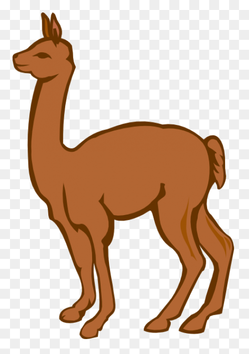 Alpaca - Free Animals Icons