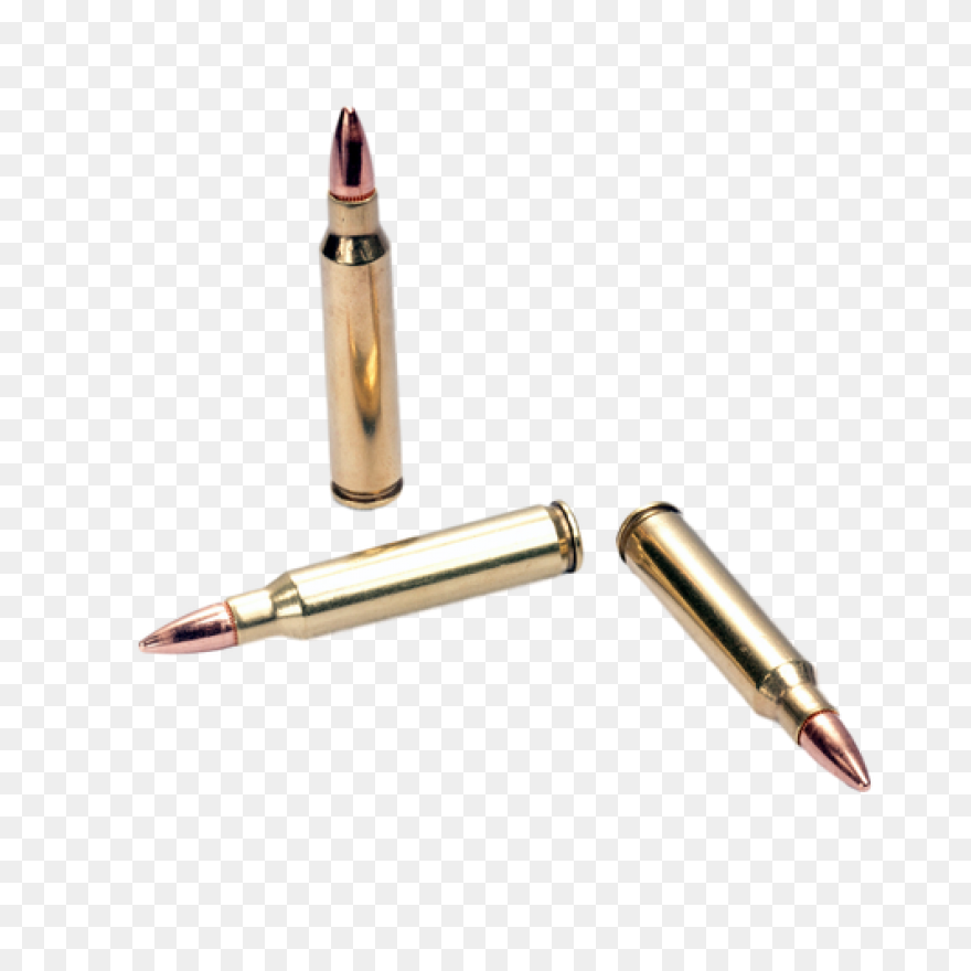 44 Magnum 200Gr. Scs Fort Scott Mun
