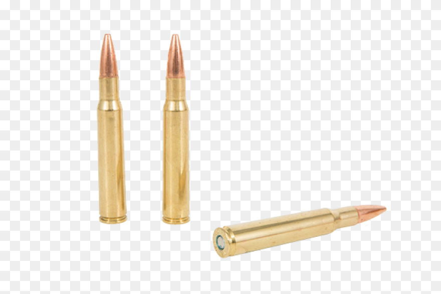 44 Magnum 200Gr. Scs Fort Scott Mun