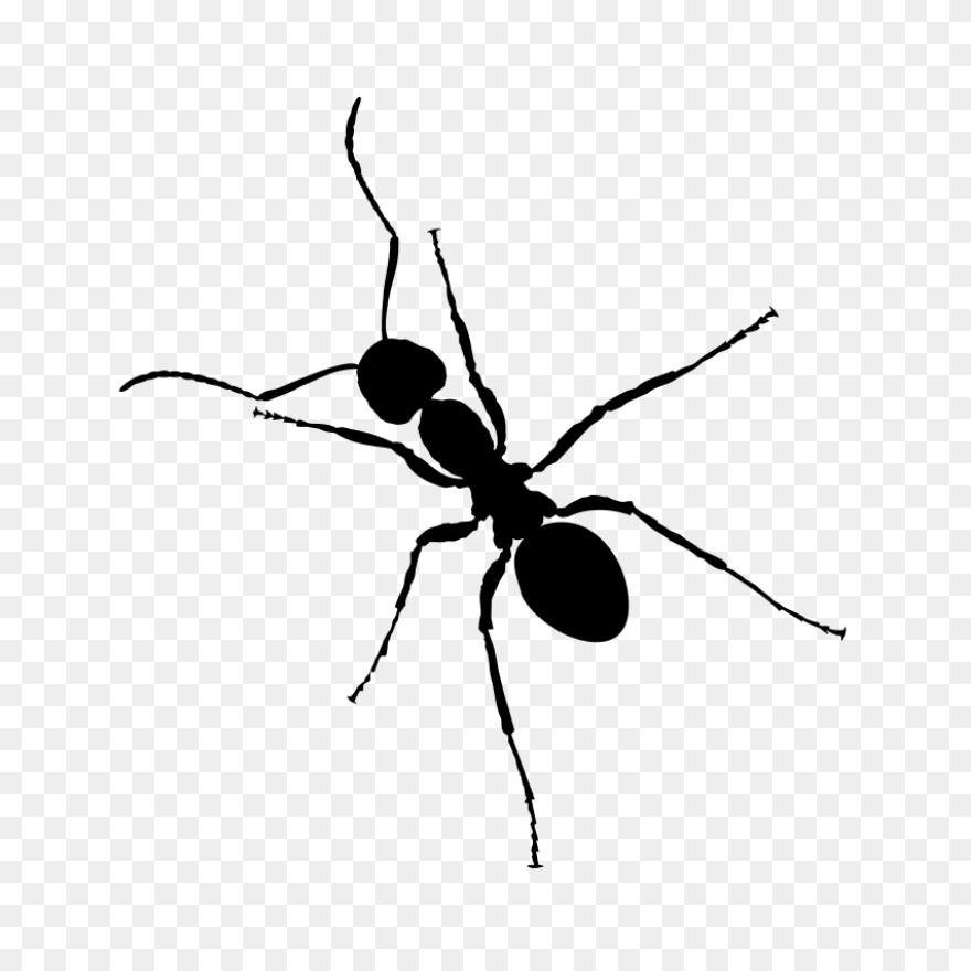 Ant Clipart 8 - ClipartFlare Clipar