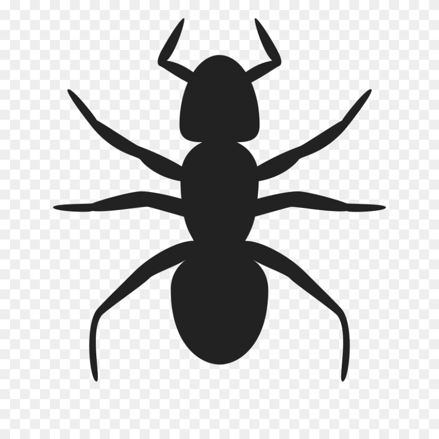 Ant Clipart 8 - ClipartFlare Clipar