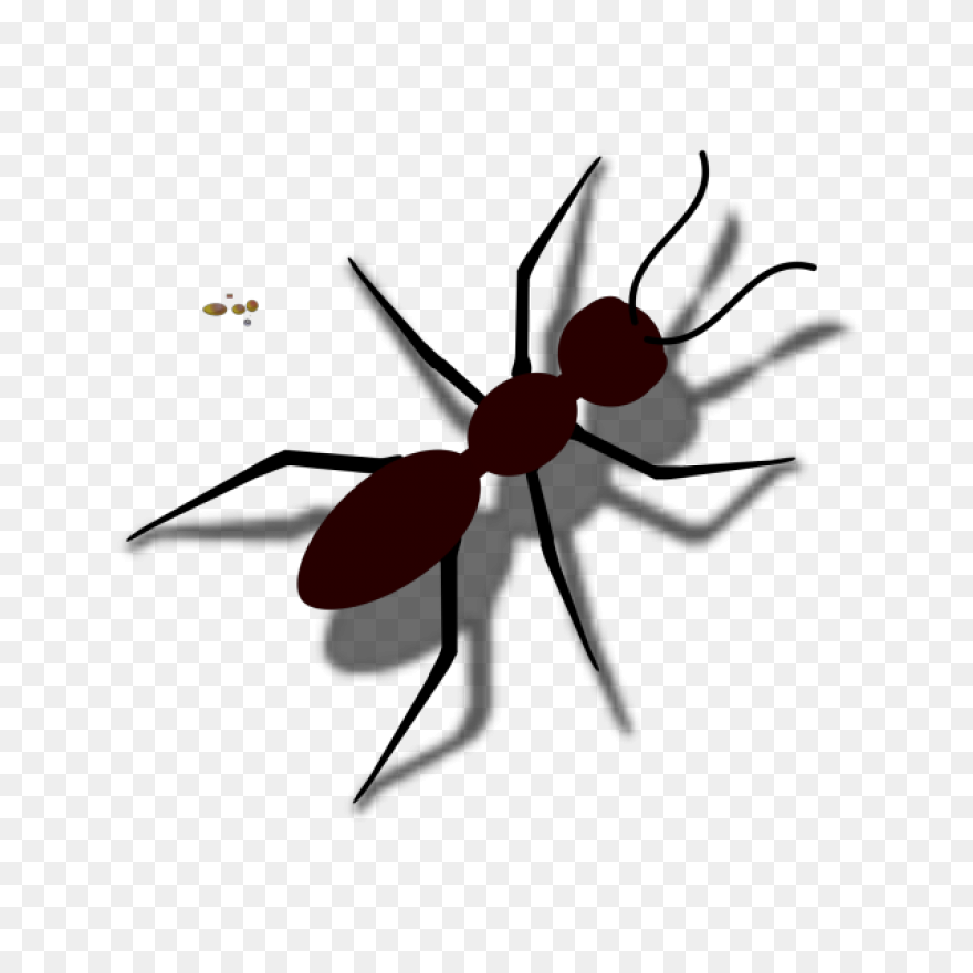 Ant Clipart 8 - ClipartFlare Clipar