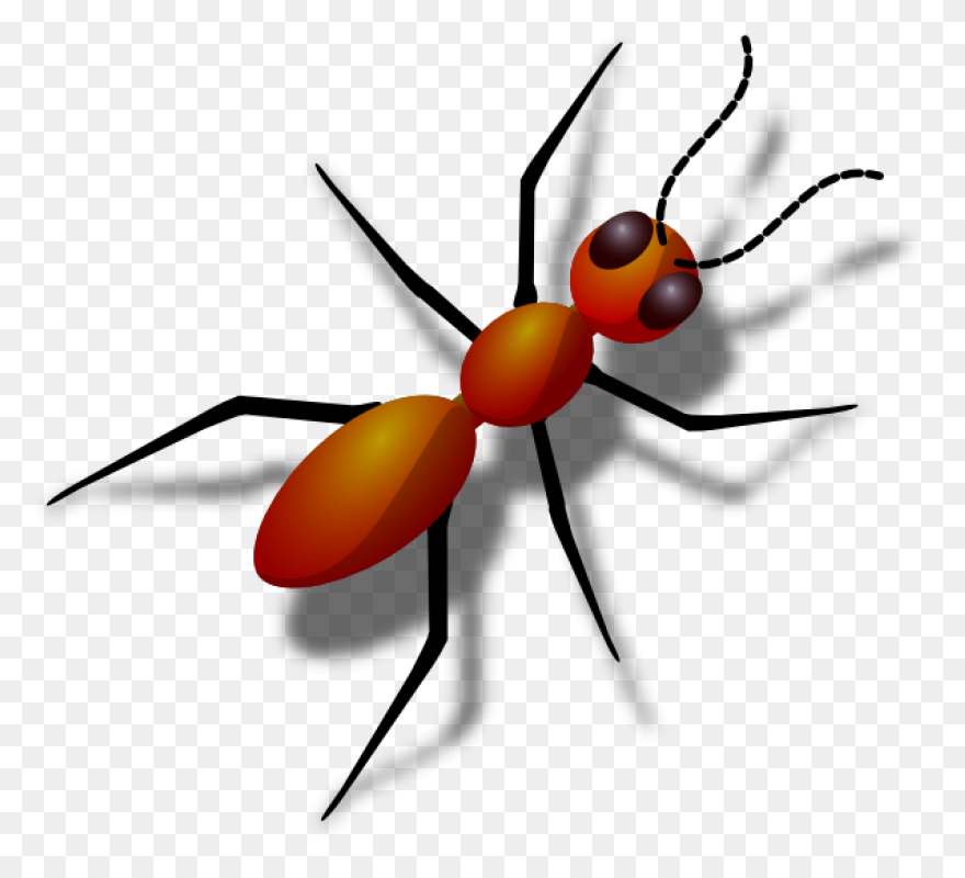 Ant Clipart 8 - ClipartFlare Clipar