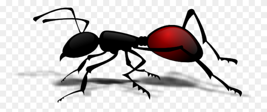 Ant Clipart 8 - ClipartFlare Clipar