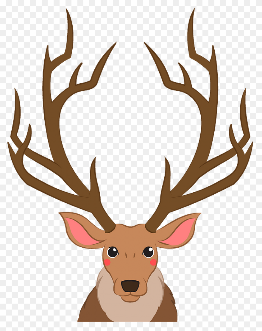 Freeuse Stock Antlers Transparent D