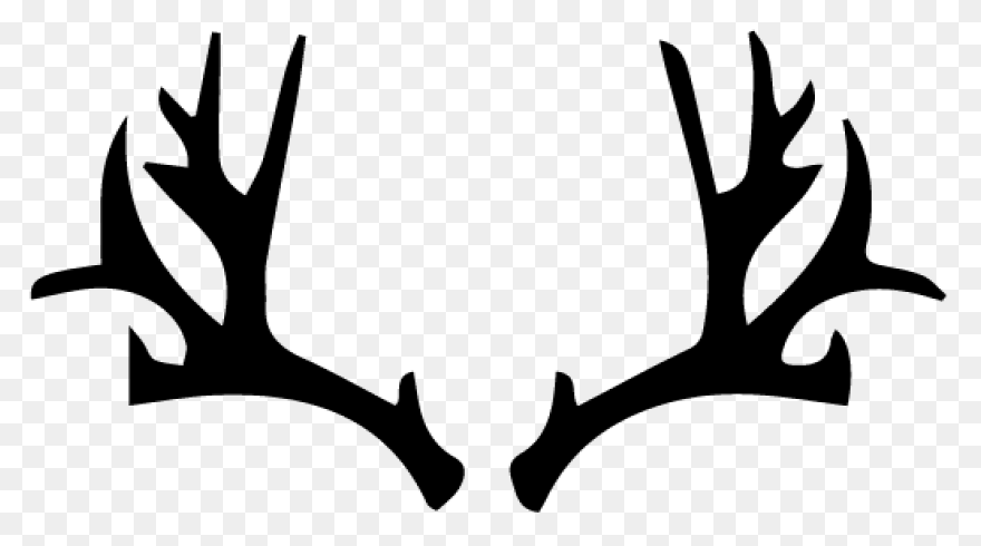 Freeuse Stock Antlers Transparent D