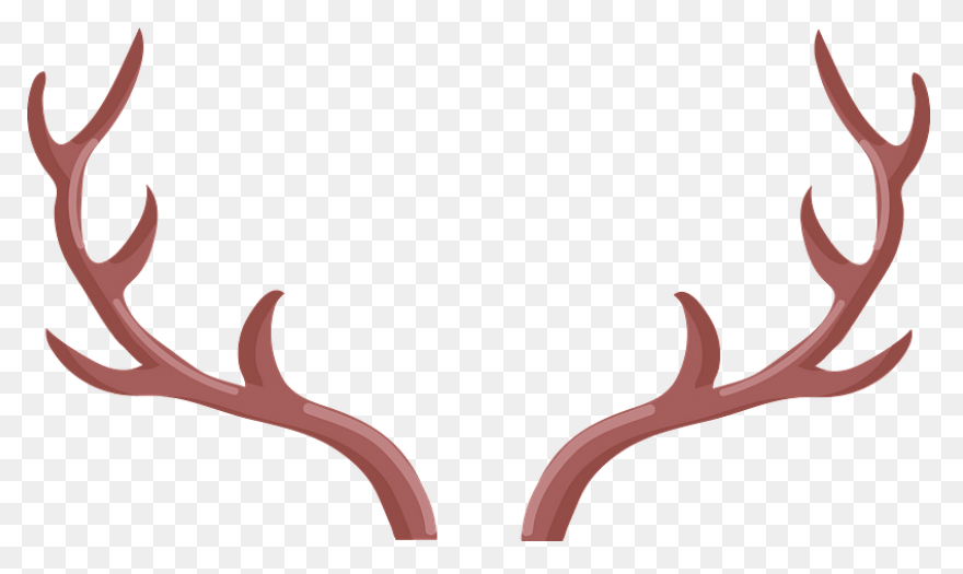 Freeuse Stock Antlers Transparent D
