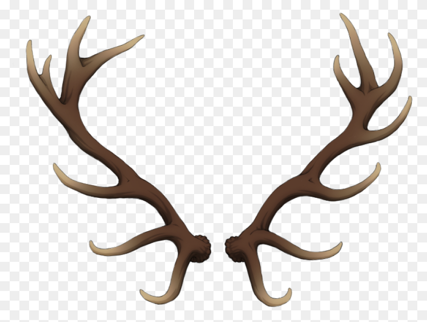 Freeuse Stock Antlers Deer Reindeer - Antlers