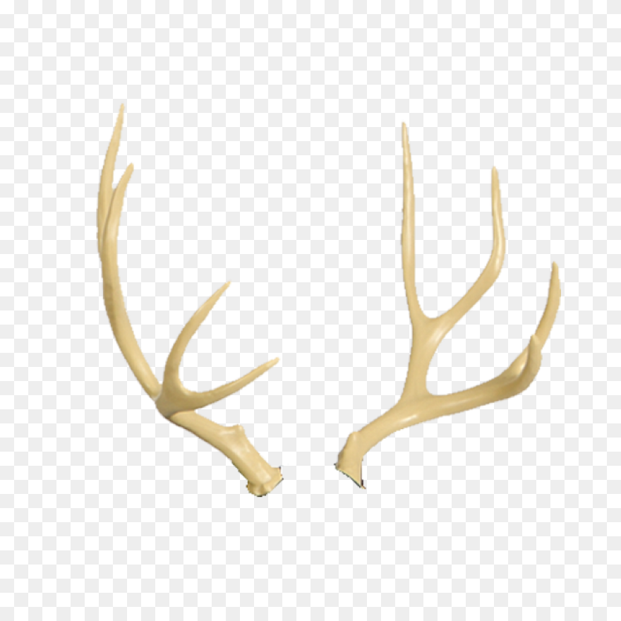 Freeuse Stock Antlers Transparent D