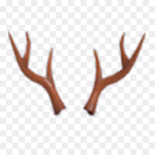 Freeuse Stock Antlers Transparent D