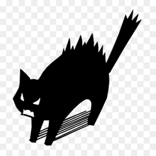 Angry Cat | Angry Cat, Cat Spray, C