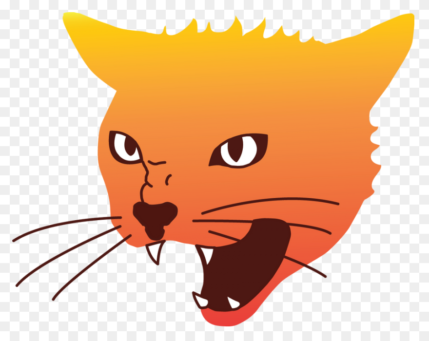 Angry Cat | Angry Cat, Cat Spray, C