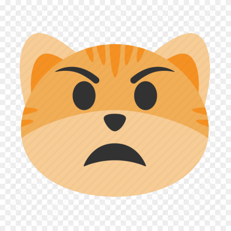 Angry Cat | Angry Cat, Cat Spray, C