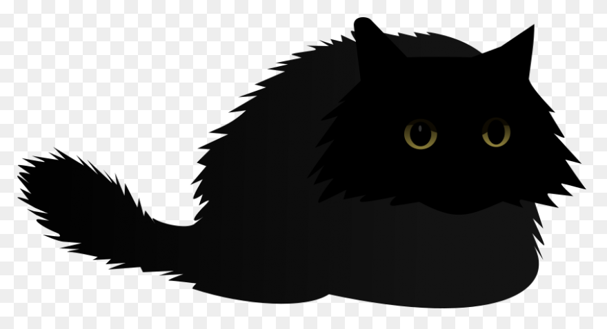 Angry Cat | Angry Cat - Angry Cat