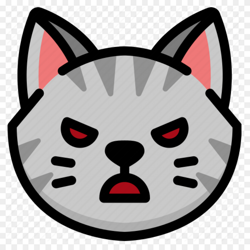 Angry Cat | Angry Cat, Cat Spray, C