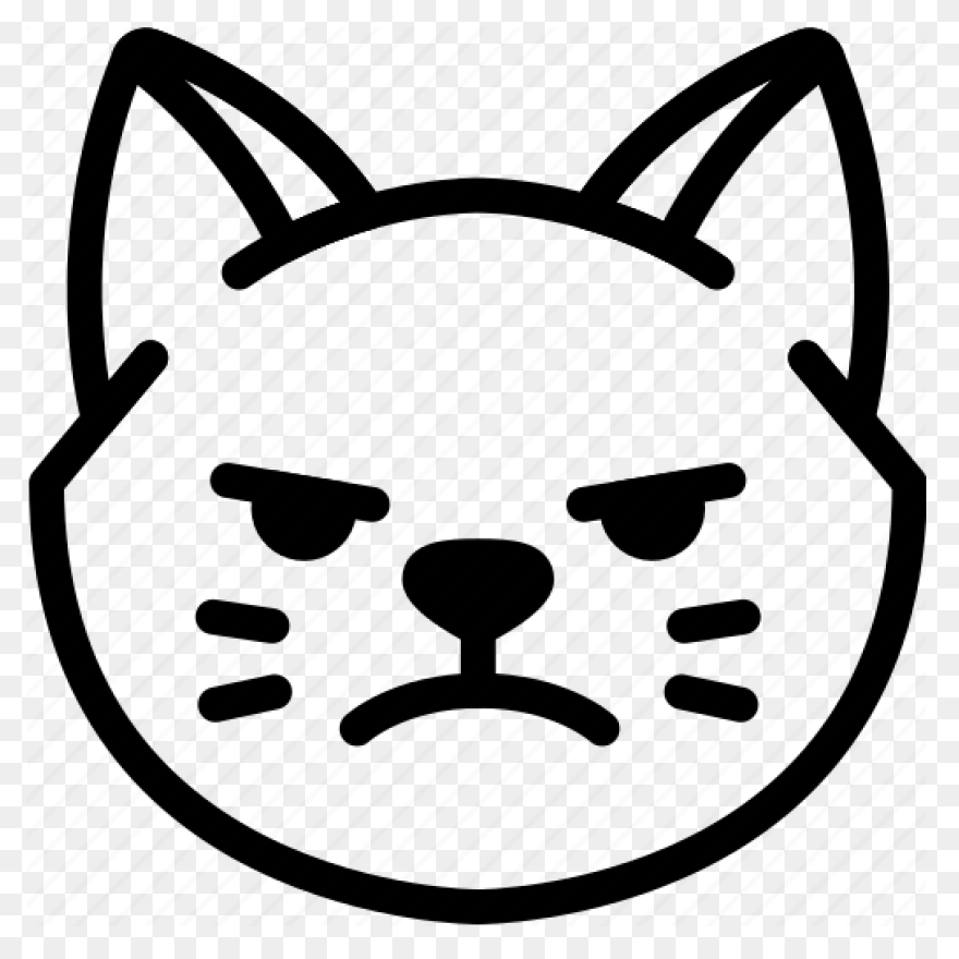 Angry Cat | Angry Cat, Cat Spray, C