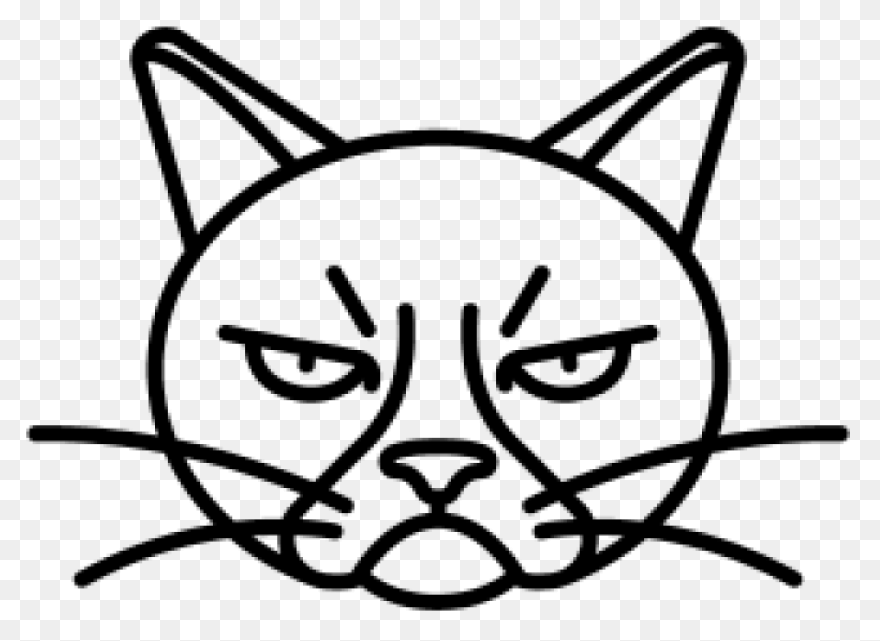 Angry Cat | Angry Cat, Cat Spray, C