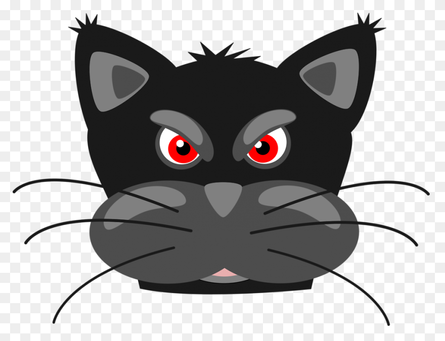 Angry Cat | Angry Cat, Cat Spray, C