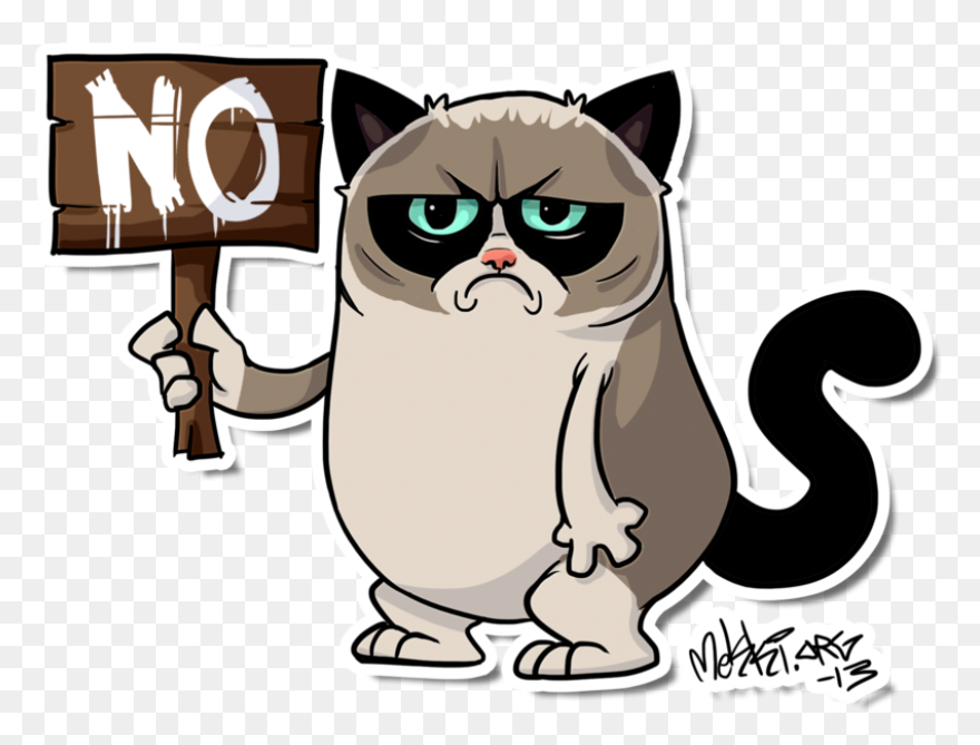 Angry Cat | Angry Cat, Cat Spray, C