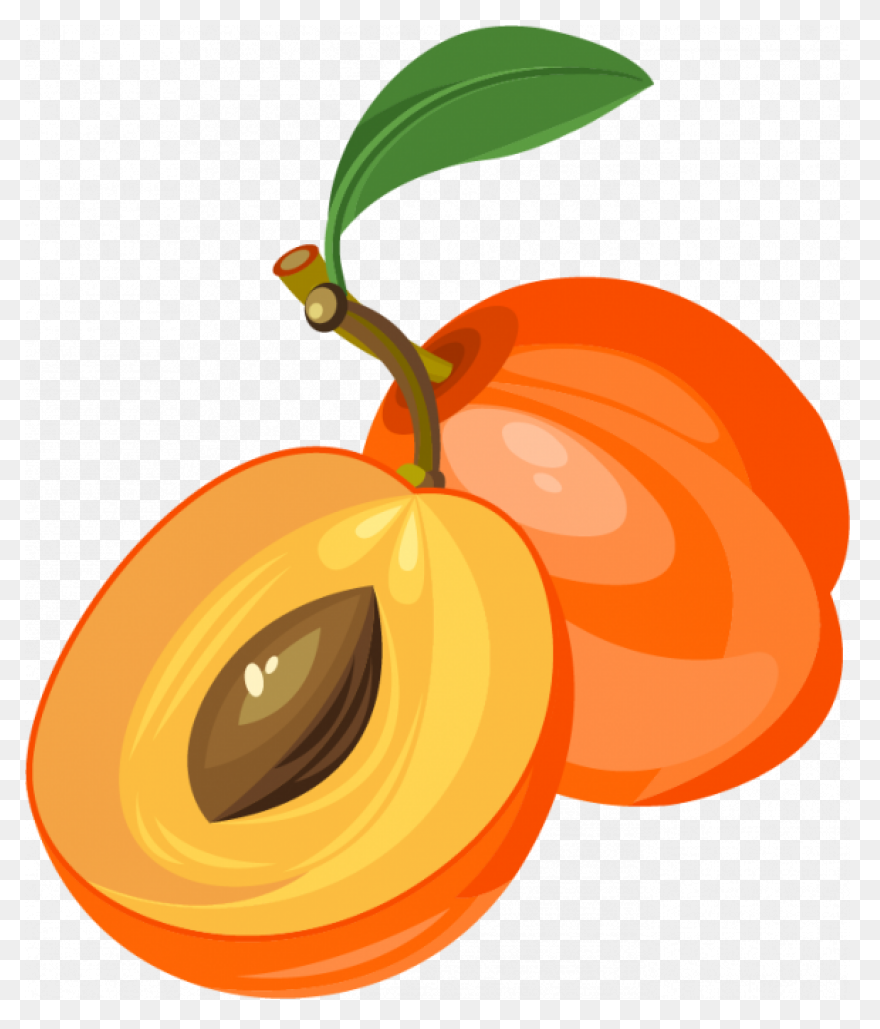 Apricot Clipart | – Free - Apricot