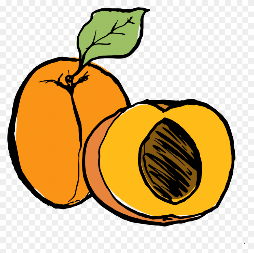 Apricot Clipart Full Size Clipart - Apricot