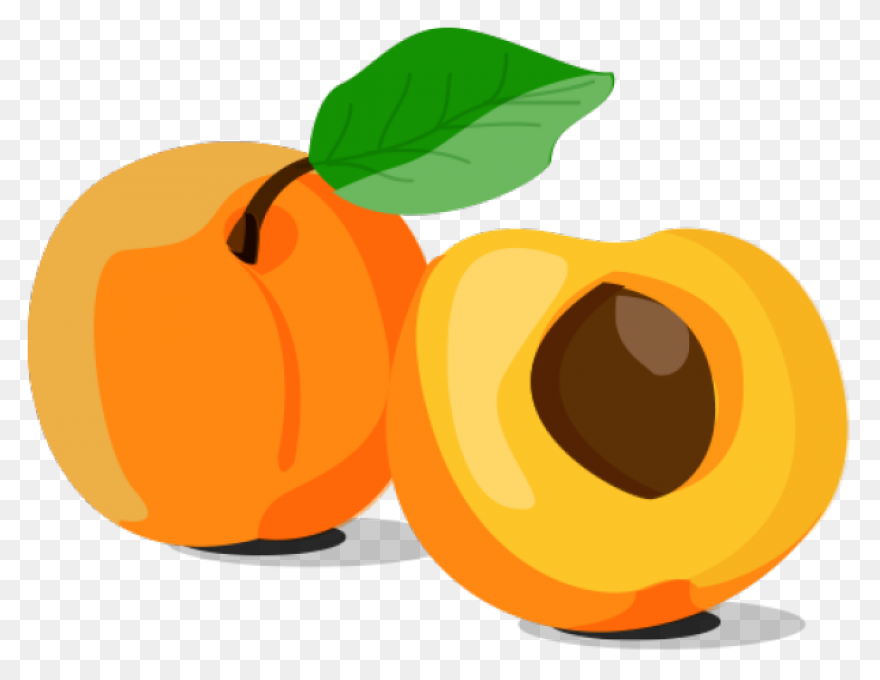 Apricot Clipart - Full Size Clipart