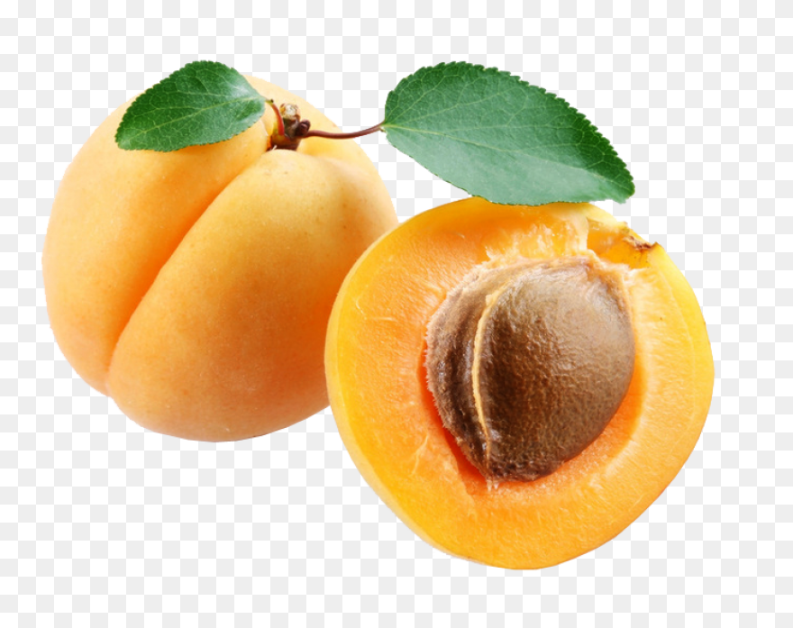 Apricot Clipart - Full Size Clipart