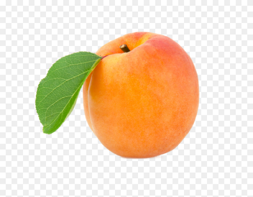 Apricot Clipart - Full Size Clipart