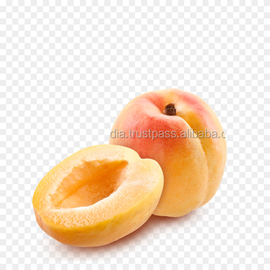 Apricot Clipart - Full Size Clipart