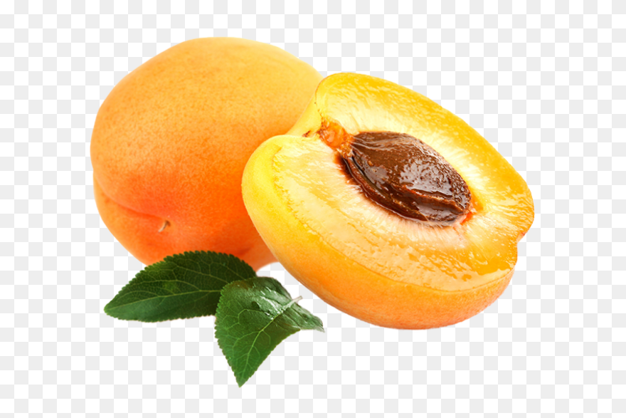 Apricot Clipart - Full Size Clipart