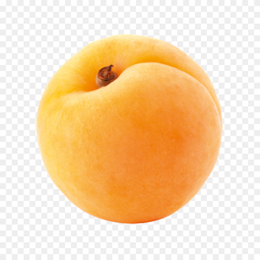 Apricot Clipart - Full Size Clipart