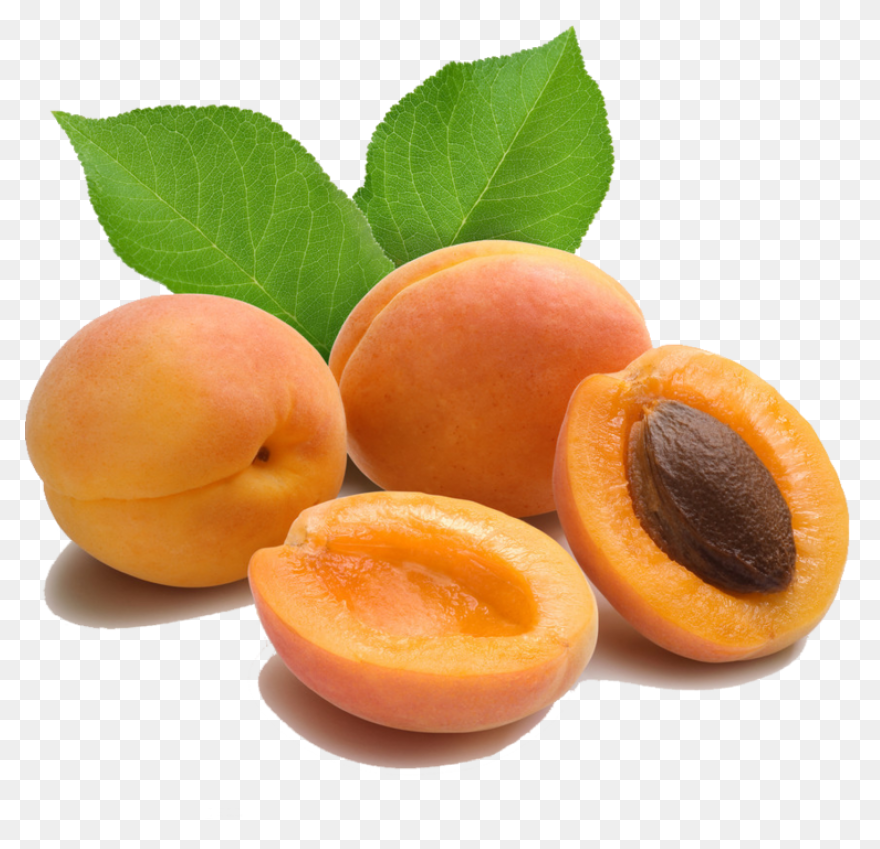 Apricot Clipart - Full Size Clipart