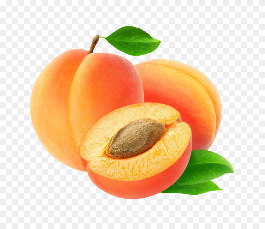 Apricot Clipart - Full Size Clipart