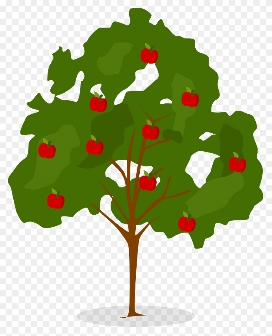 Apple Tree With Apple Basket | Appl