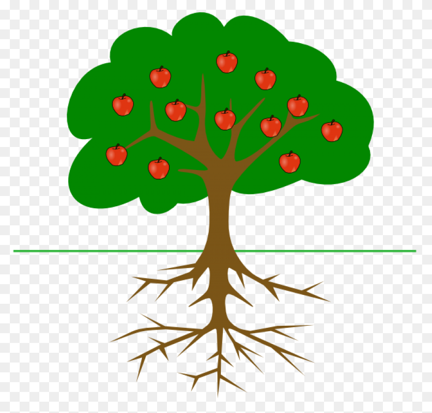 Apple Tree With Roots Clipart - Apple Tree